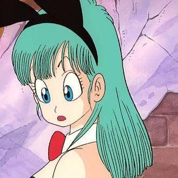 The Best Bulma Briefs Quotes Of All Time With Images