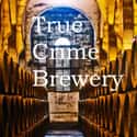 True Crime Brewery on Random Most Popular True Crime Podcasts Right Now