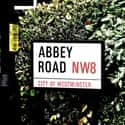 The Album Was Originally Titled 'Everest,' And The Band Planned To Shoot The Cover On The Mountain on Random Behind Scene Stories From Recording Of Beatles' 'Abbey Road'