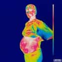 Iridescence is listed (or ranked) 43 on the list The Best Rap Albums Of 2018
