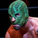 El Dragon Azteca Jr. on Random Best Lucha Underground Wrestlers