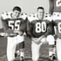 Tony Stricker is listed (or ranked) 25 on the list The Best New York Jets Cornerbacks Of All Time