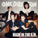 Made in the A.M. on Random Best One Direction Albums