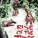 Rise of the Zombie on Random Best Zombie Movies On Netflix