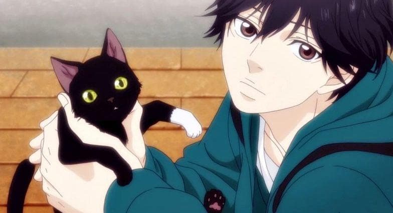 The 15 Best Male Characters From Shojo Anime Top 10 magic/romance anime with an overpowered male lead hd: best male characters from shojo anime