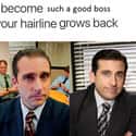 Who Doesn't Want Michael Season 6 Hair on Random Memes Only Fans Of 'The Office' Will Understand