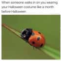 Don't Judge Me, You Don't Know What I've Been Through on Random Hilarious Memes For People Who Are Way Too Into Halloween
