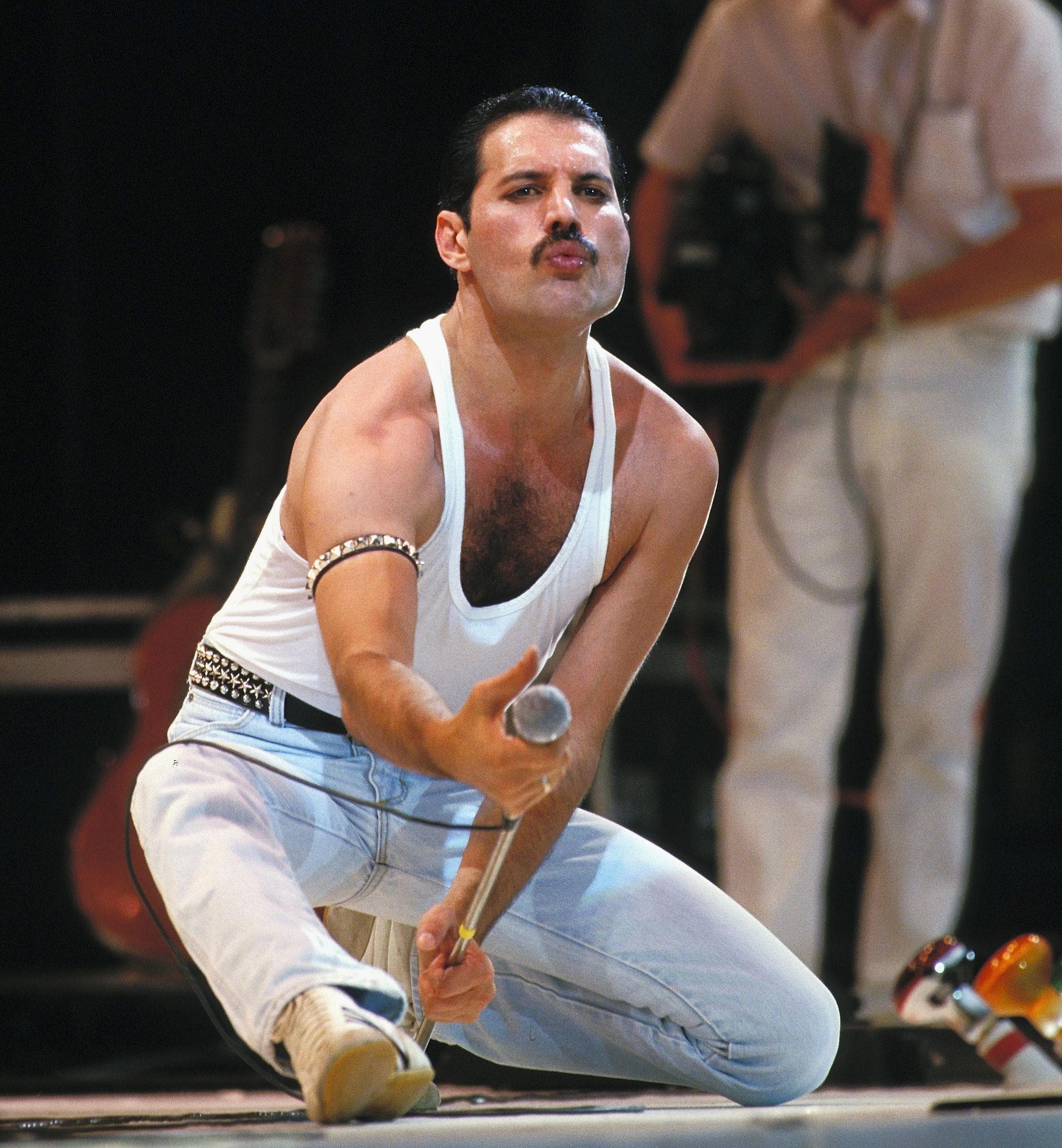 wrangler freddie mercury