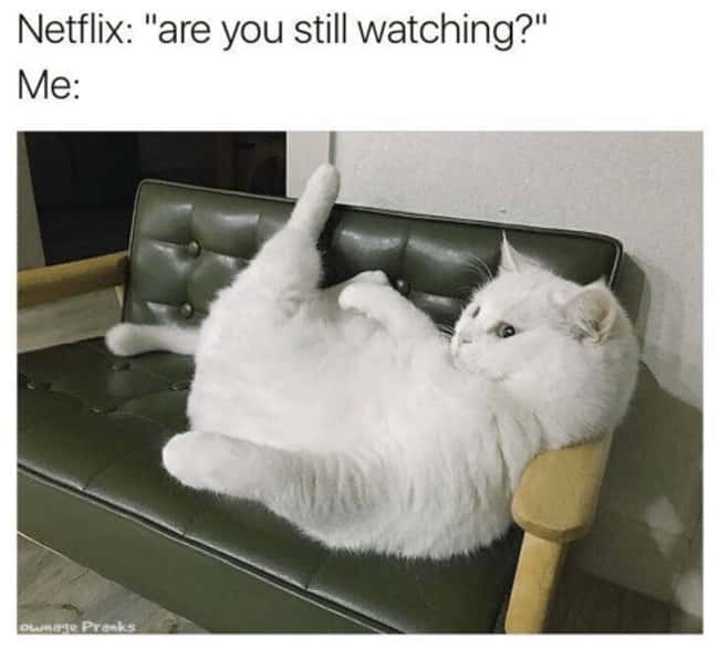 Netflix Are You Still Watching Meme Anime | Laugh Corner
