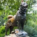 Balto's Statue Still Stands In New York's Central Park on Random True Story Behind 'Balto' Is Even More Intense Than Animated Film