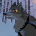 Balto And His Team Ended Up Neglected In A Sideshow Museum  on Random True Story Behind 'Balto' Is Even More Intense Than Animated Film