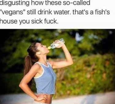 25 Memes About Vegans That Will Crack You Up