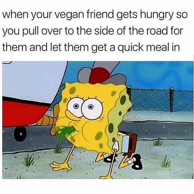 25 Memes About Vegans That Will Crack You Up