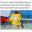 Welcome To Rock Bottom on Random Memes About Vegans That Will Crack You Up