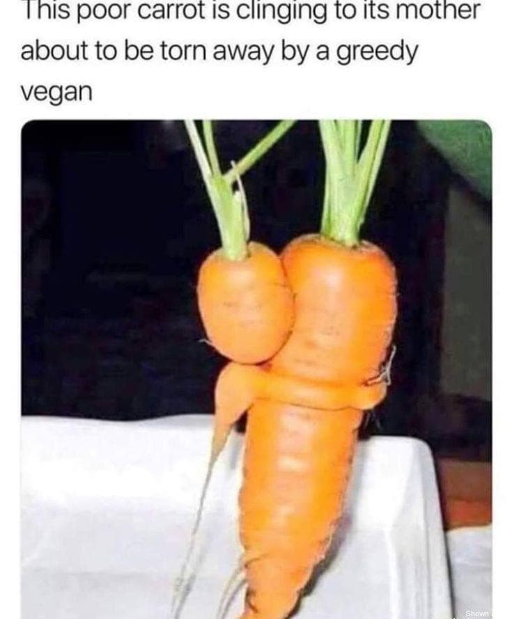 Image of Random Memes About Vegans That Will Crack You Up