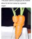 Do You Even Carrot? on Random Memes About Vegans That Will Crack You Up