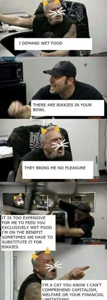 15 Best American Chopper Memes That Will Make You Laugh Every Time