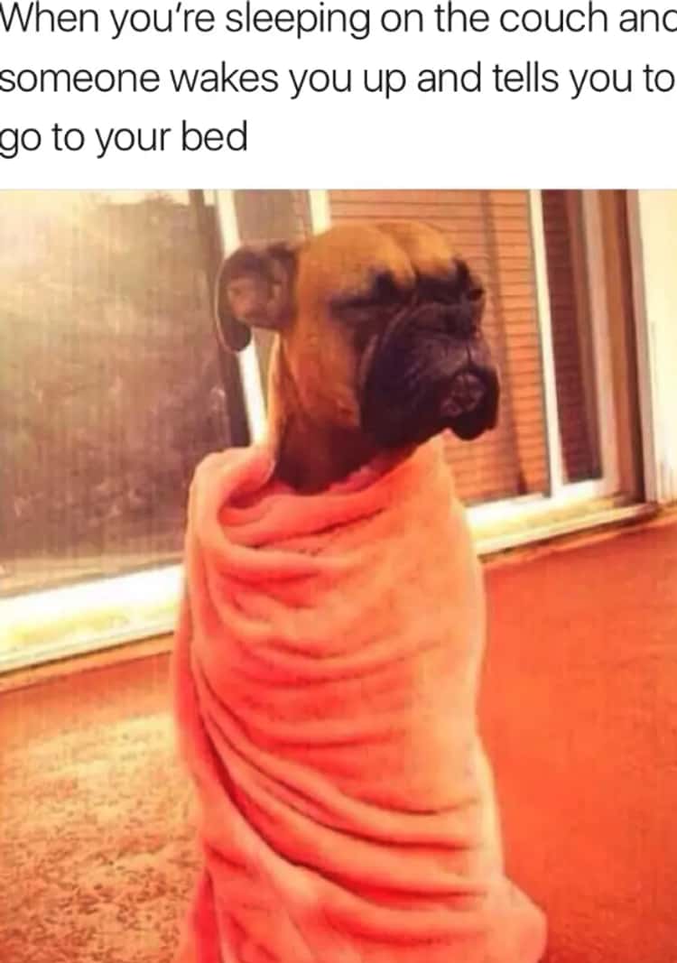 22 Sleep Memes That Will Make You Laugh Every Time