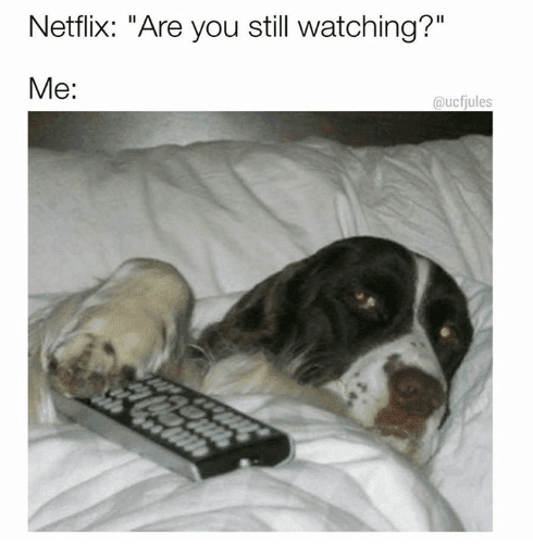 23 Hilarious When Netflix Asks If You Re Still Watching Memes