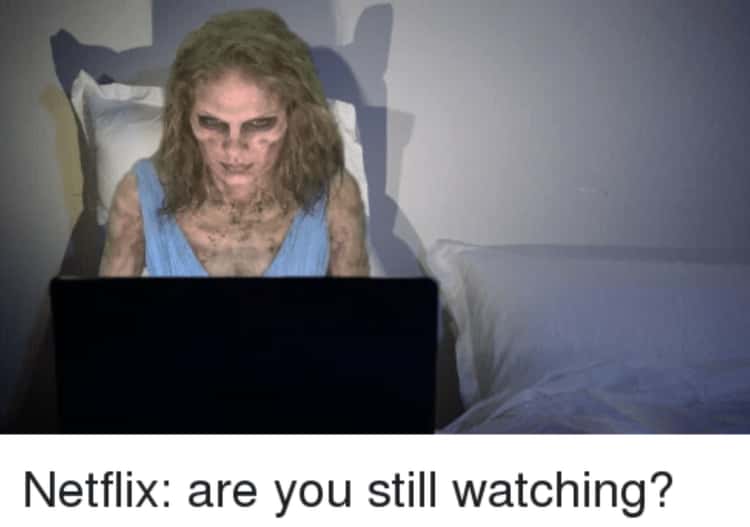 23 Hilarious When Netflix Asks If You're Still Watching Memes