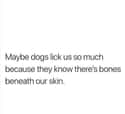 Find A Human, Find A Life Supply Of Bones on Random Memes About Dogs All Dog Owners Can Relate To