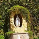 Our Lady Of Lourdes And The Healing Water on Random Miracles In Catholicism No One Can Explain