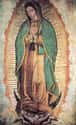The Virgin Of Guadalupe on Random Miracles In Catholicism No One Can Explain