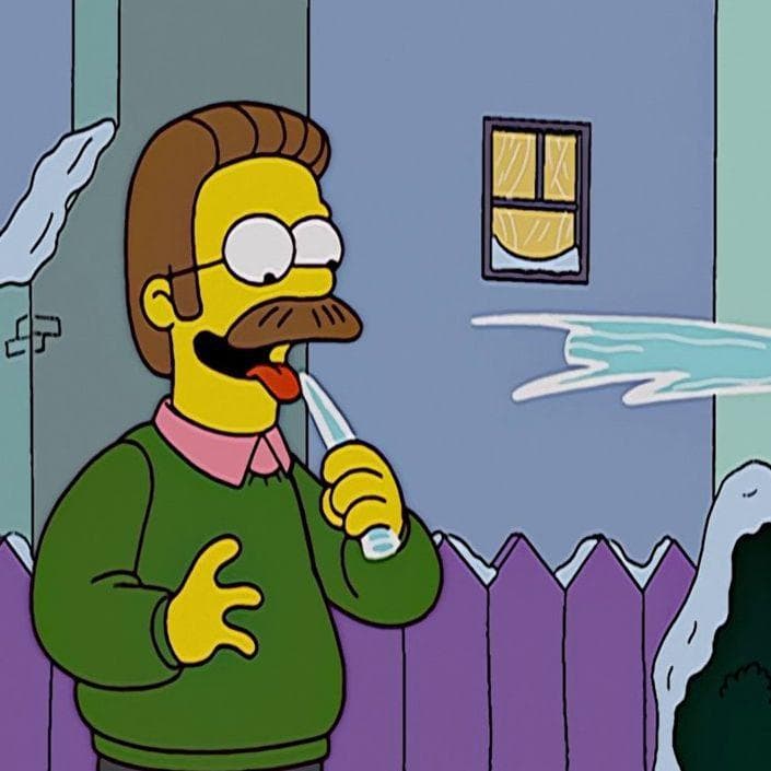 The 25 Best Ned Flanders Quotes of All Time