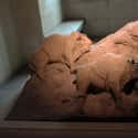 Bison Sculpture From The Cave Of The Trois-Frères, France - 13,000 BCE on Random Ridiculously Old, Well-Preserved Historical Artifacts From Ancient Cultures Around World