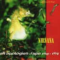 Moist Vagina on Random Best Nirvana Songs
