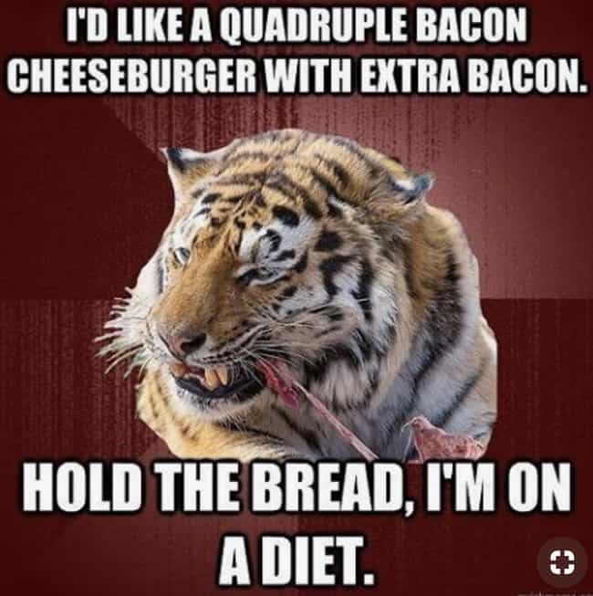 Funny Keto Diet Meme