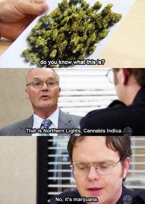 The 25 Best Creed Moments On 'The Office'