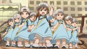 The Platelets - 'Cells At Work'