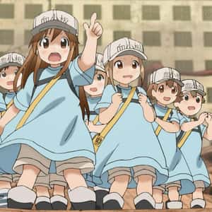 The Platelets - 'Cells At Work'