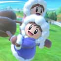The Ice Climbers is listed (or ranked) 45 on the list All 75 Super Smash Bros. Ultimate Characters Ranked Best to Worst