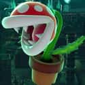 Piranha Plant (Newcomer) is listed (or ranked) 22 on the list All 75 Super Smash Bros. Ultimate Characters Ranked Best to Worst