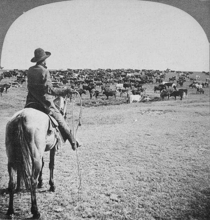 Strength, Courage, And Intelli is listed (or ranked) 5 on the list What Was It Really Like To Be A Cowboy In The Wild West?