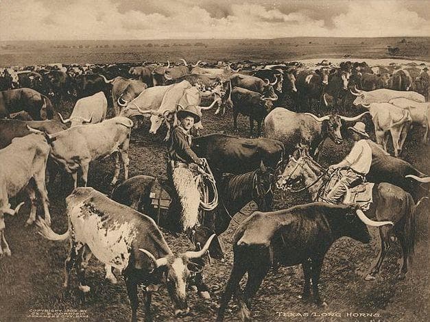 Stampedes Were Dangerous Event is listed (or ranked) 12 on the list What Was It Really Like To Be A Cowboy In The Wild West?