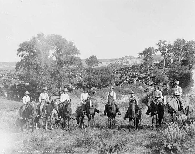 Cowboys Talked And Sang To The is listed (or ranked) 13 on the list What Was It Really Like To Be A Cowboy In The Wild West?