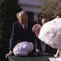 President Ford Pardons A Turkey - 1975 on Random Pictures Of Thanksgiving Over Years