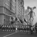 Bullwinkle During The Macy's Thanksgiving Day Parade - 1961  on Random Pictures Of Thanksgiving Over Years