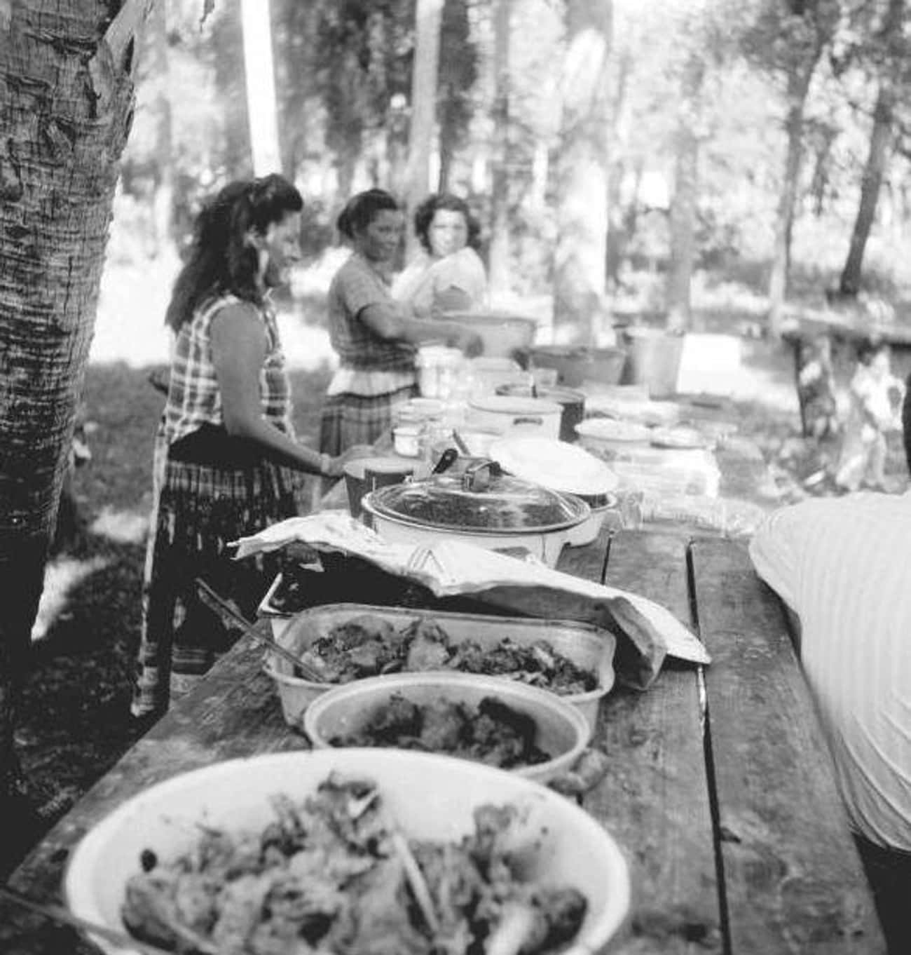 A Florida Mangrove Thanksgiving - Mid-1950s