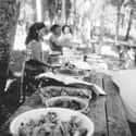 A Florida Mangrove Thanksgiving - Mid-1950s on Random Pictures Of Thanksgiving Over Years
