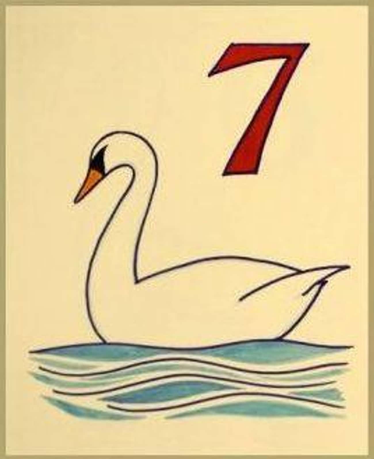 Seven Swans-A-Swimming