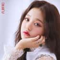 Wonyoung is listed (or ranked) 25 on the list The Best Maknae Members In K-pop, Ranked