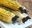 Charcoal Companion Dog Corn Holders on Random Best White Elephant Gifts