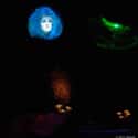 The Haunted Mansion’s Madame Leota May Sound Familiar on Random Disneyland Easter Eggs Only A Super Fan Could Spot