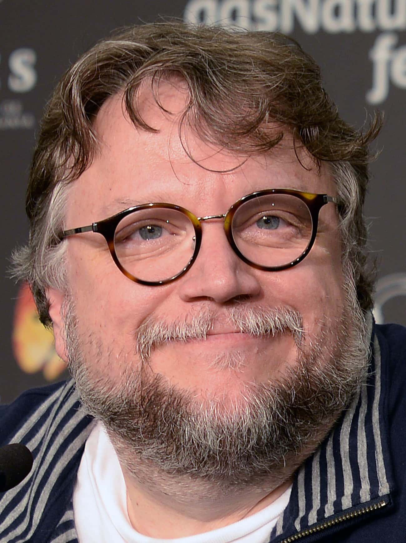 Del Toro's Been Working On The Film Adaptation Almost His Entire Life
