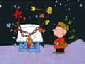 Charlie Brown Dislikes The Commercialization Of Christmas on Random Deatials about 'A Charlie Brown Christmas' Was About Seasonal Depression