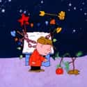 Everything Charlie Brown Touches Gets Ruined on Random Deatials about 'A Charlie Brown Christmas' Was About Seasonal Depression